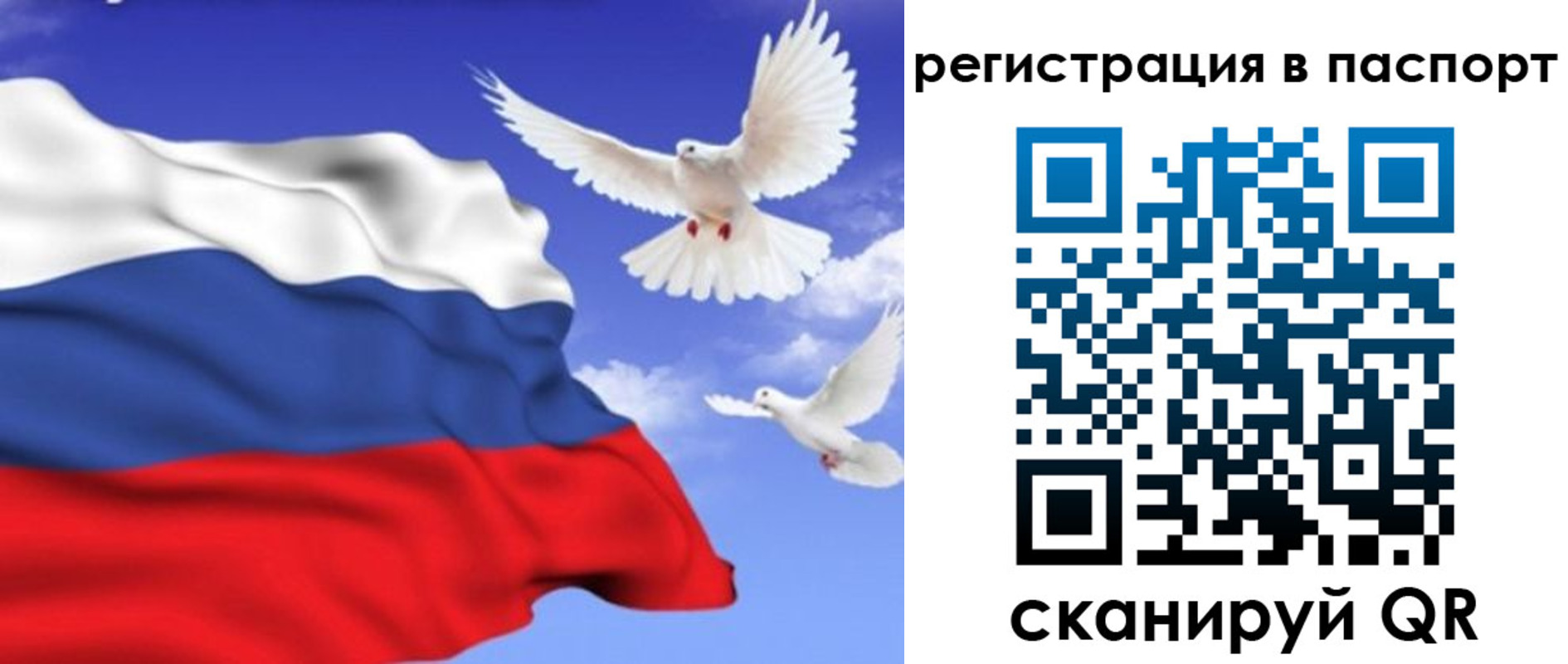 купить прописку в Отрадном